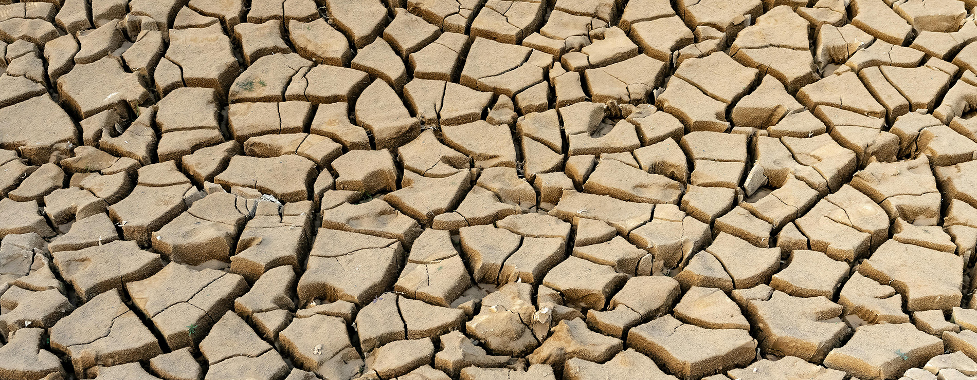 Tierra seca