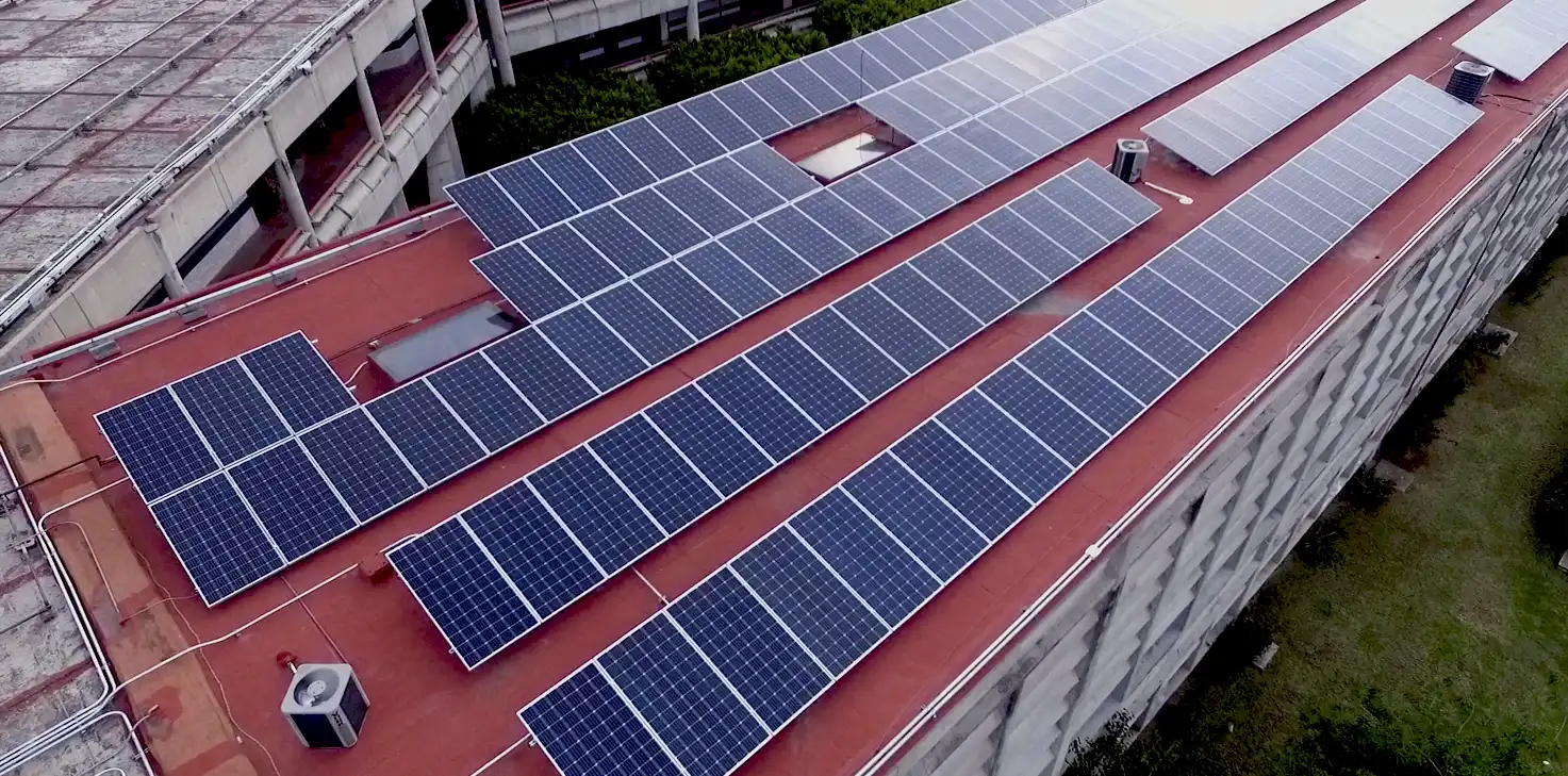 Paneles solares en el campus.