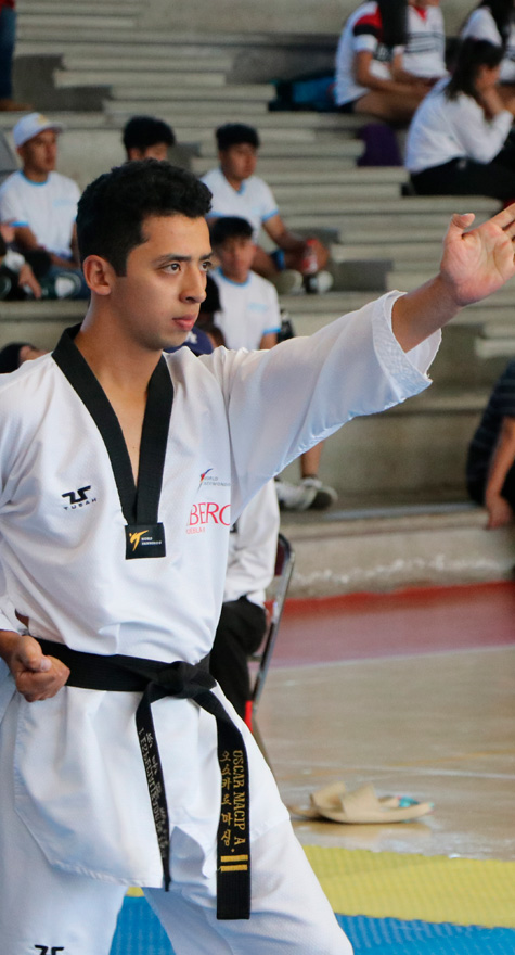 Tae Kwon do