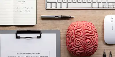 Cerebro y papeles
