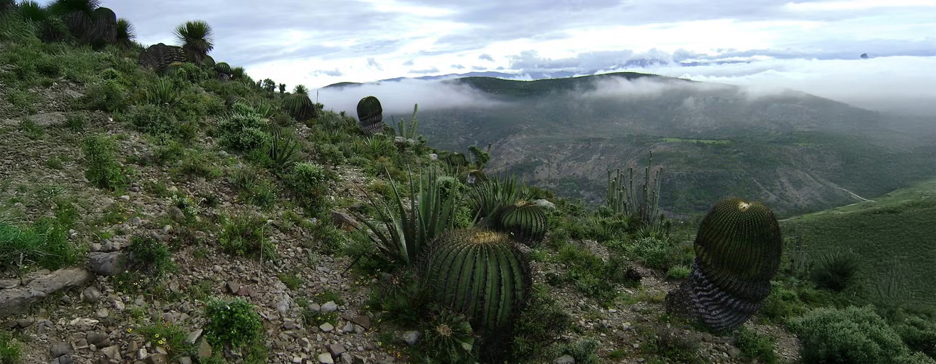 Valle de Tehuacán