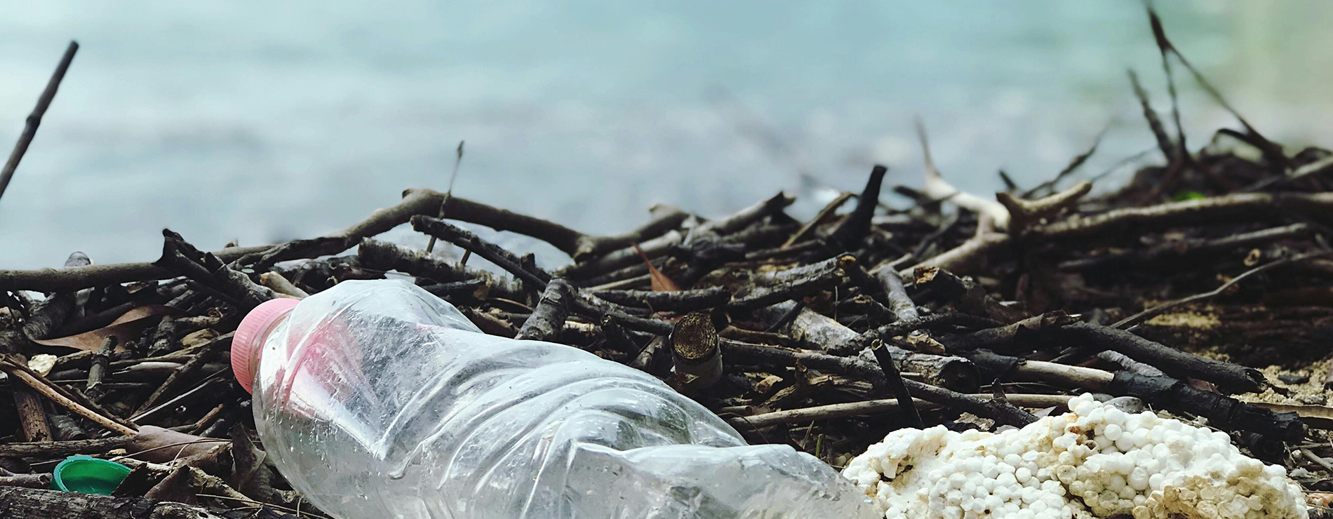 Botella, basura