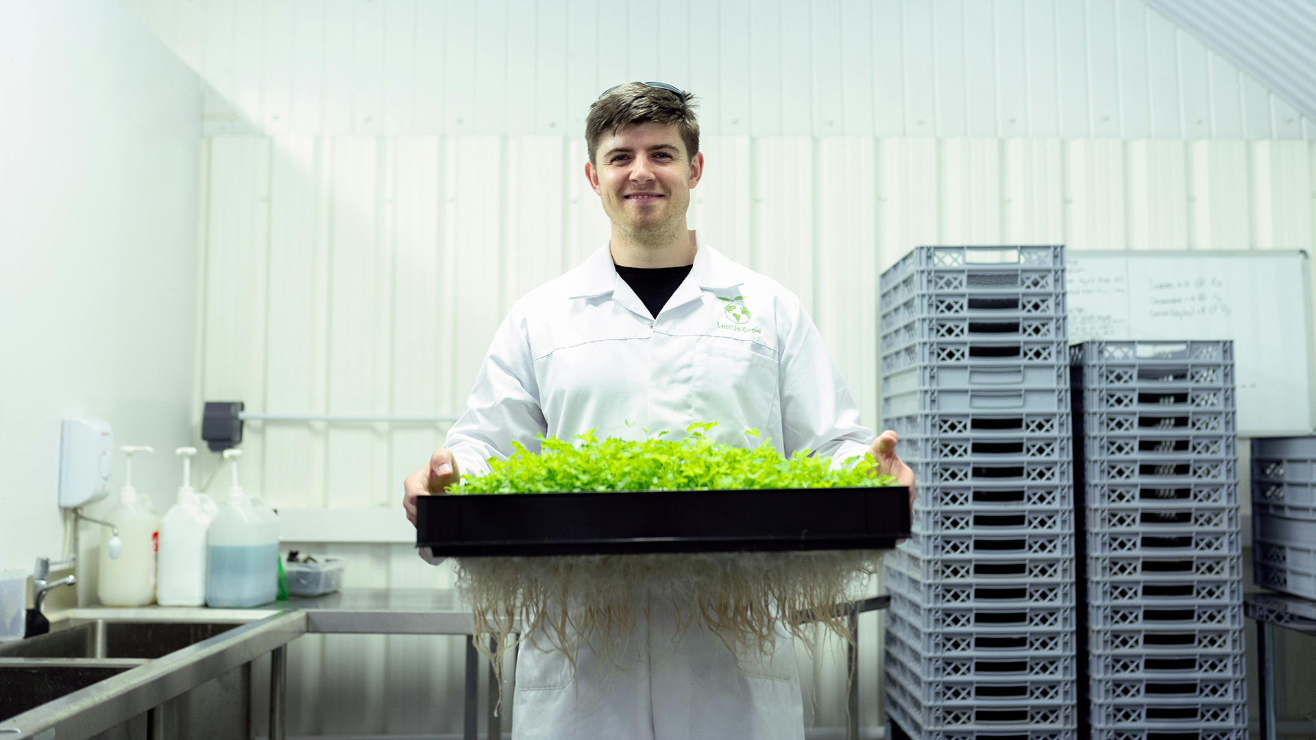 Hombre y plantas en laboratorio