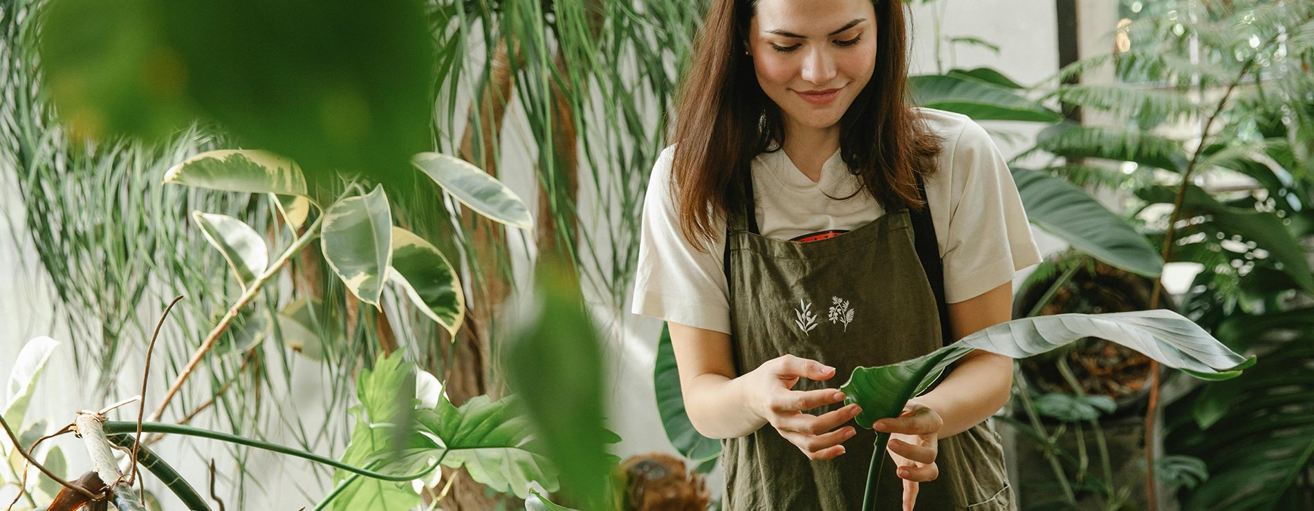 Mujer cuidando plantas