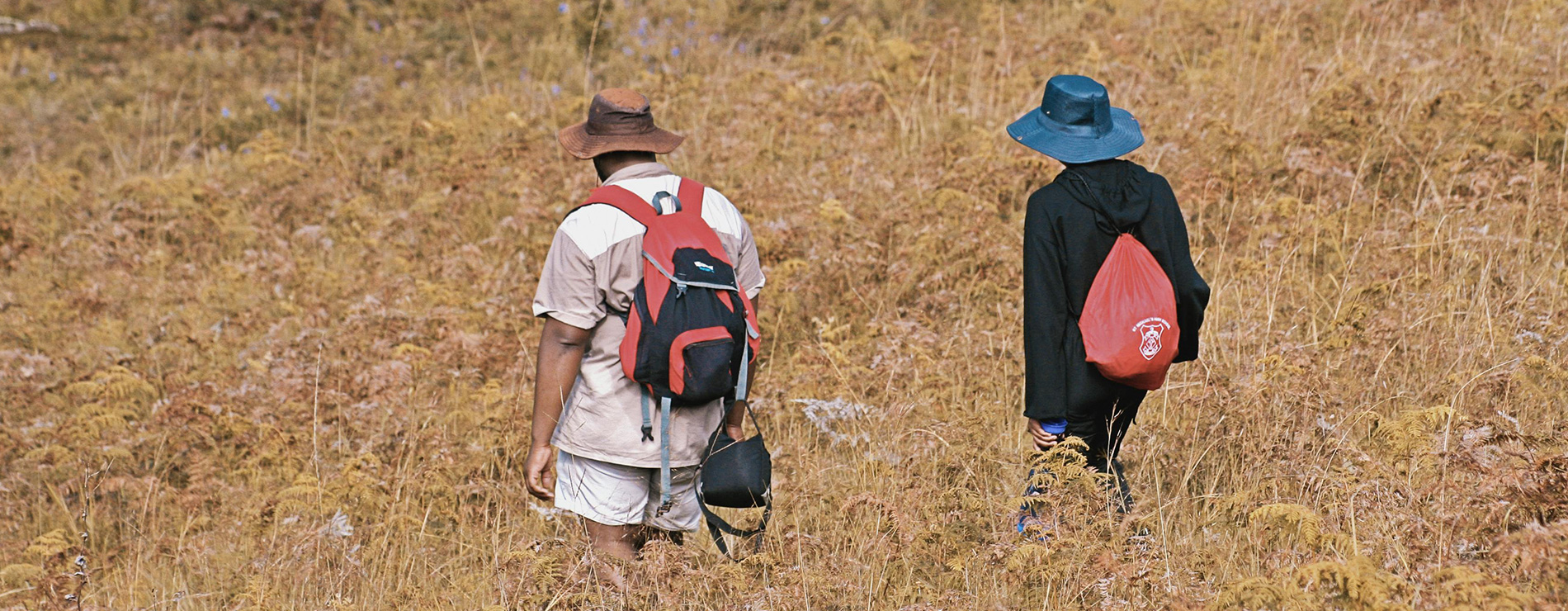 Personas caminando en campo