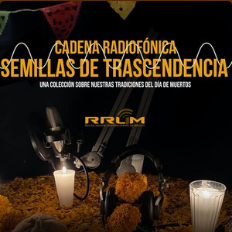 Semillas de trascendencia