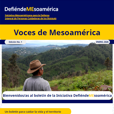 Voces de Mesoamérica