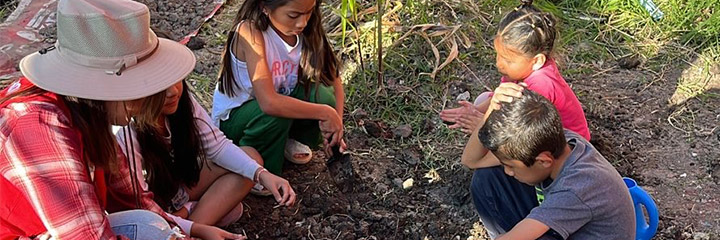 Taller huerto infantil