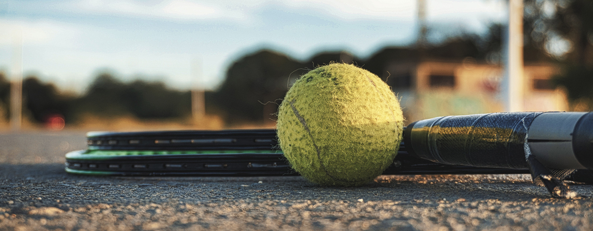 Pelota y raqueta de tenis