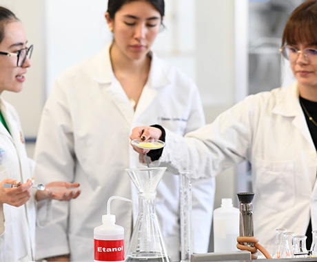 Alumnos en laboratorio