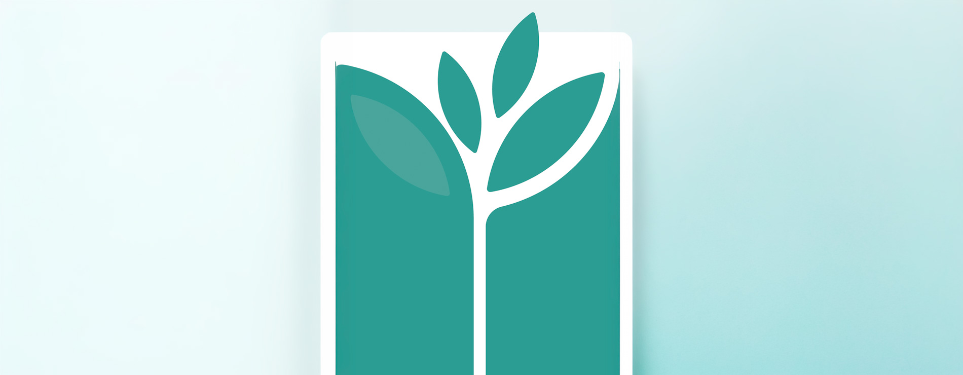 Plantita en dibujo
