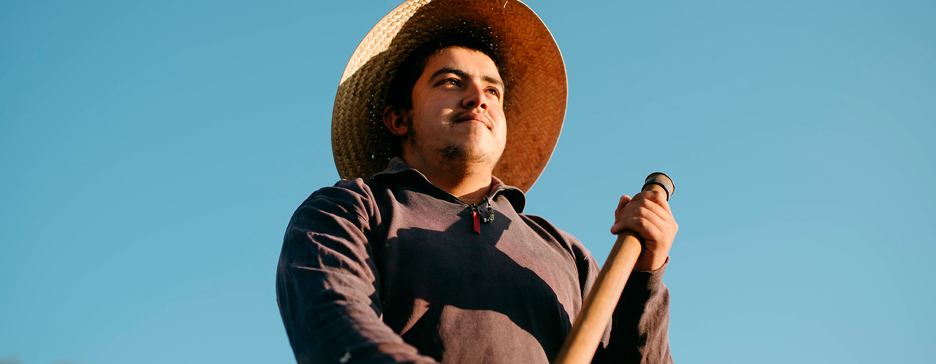 Campesino