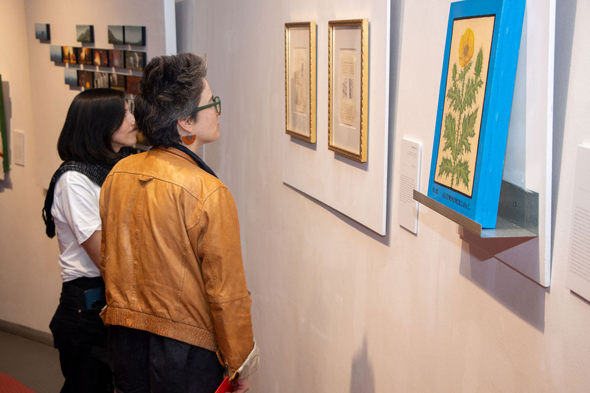 Premiación Bienal 2025