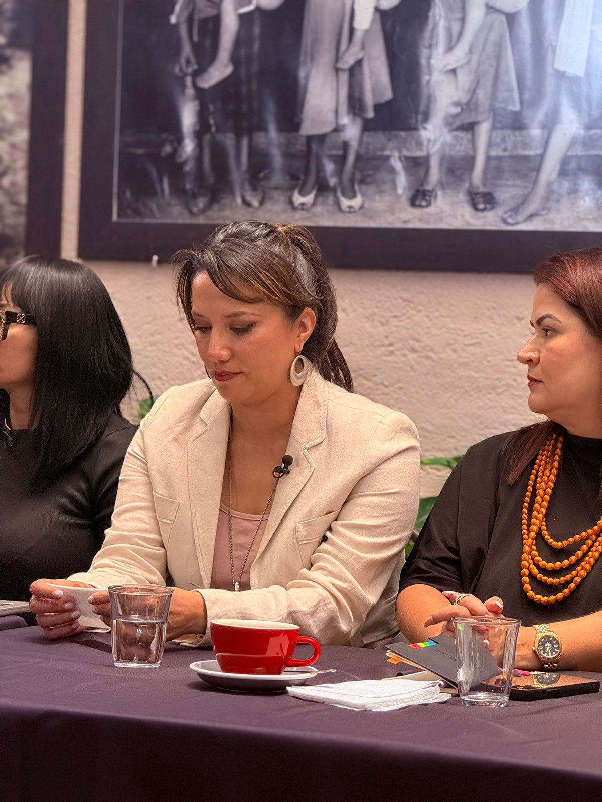 Caso Brenda Quevedo