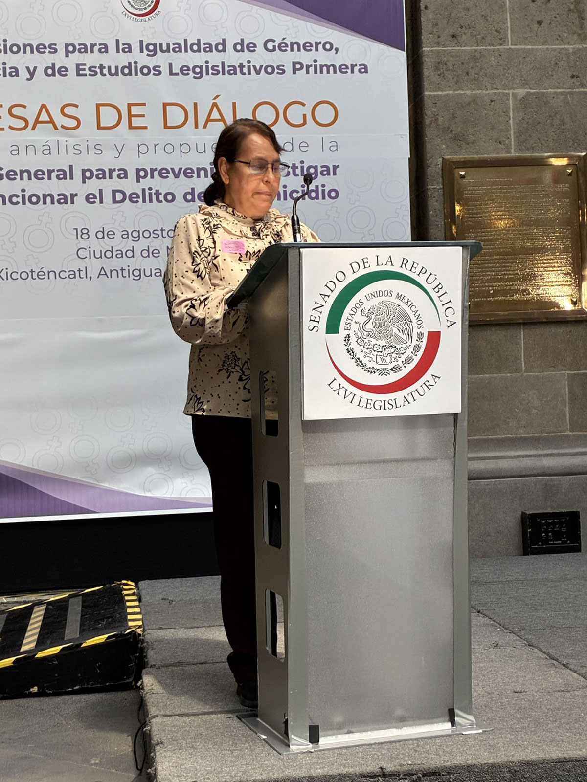 Senado feminicidios