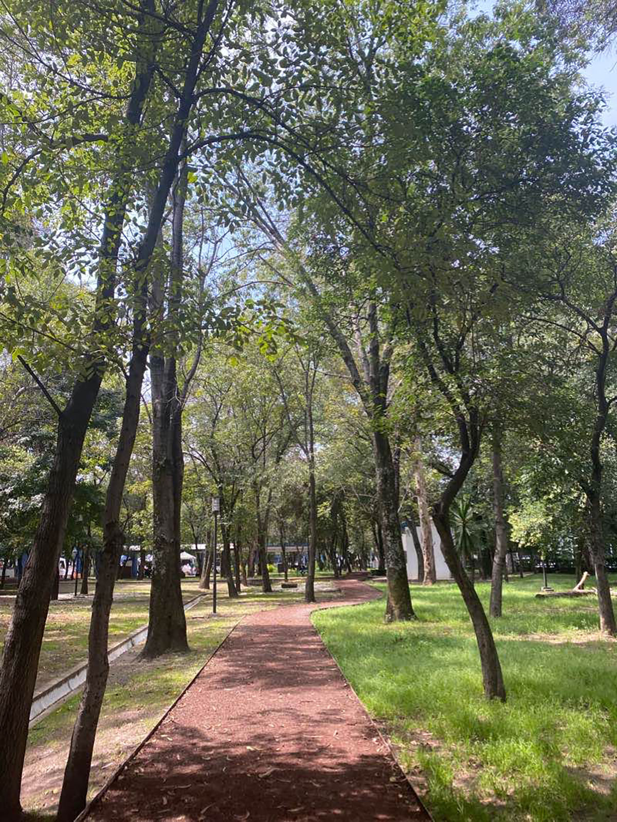 Parque Juárez