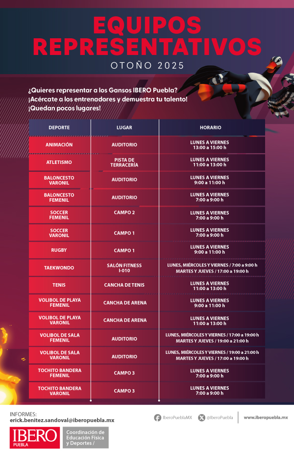 Equipos Representativos