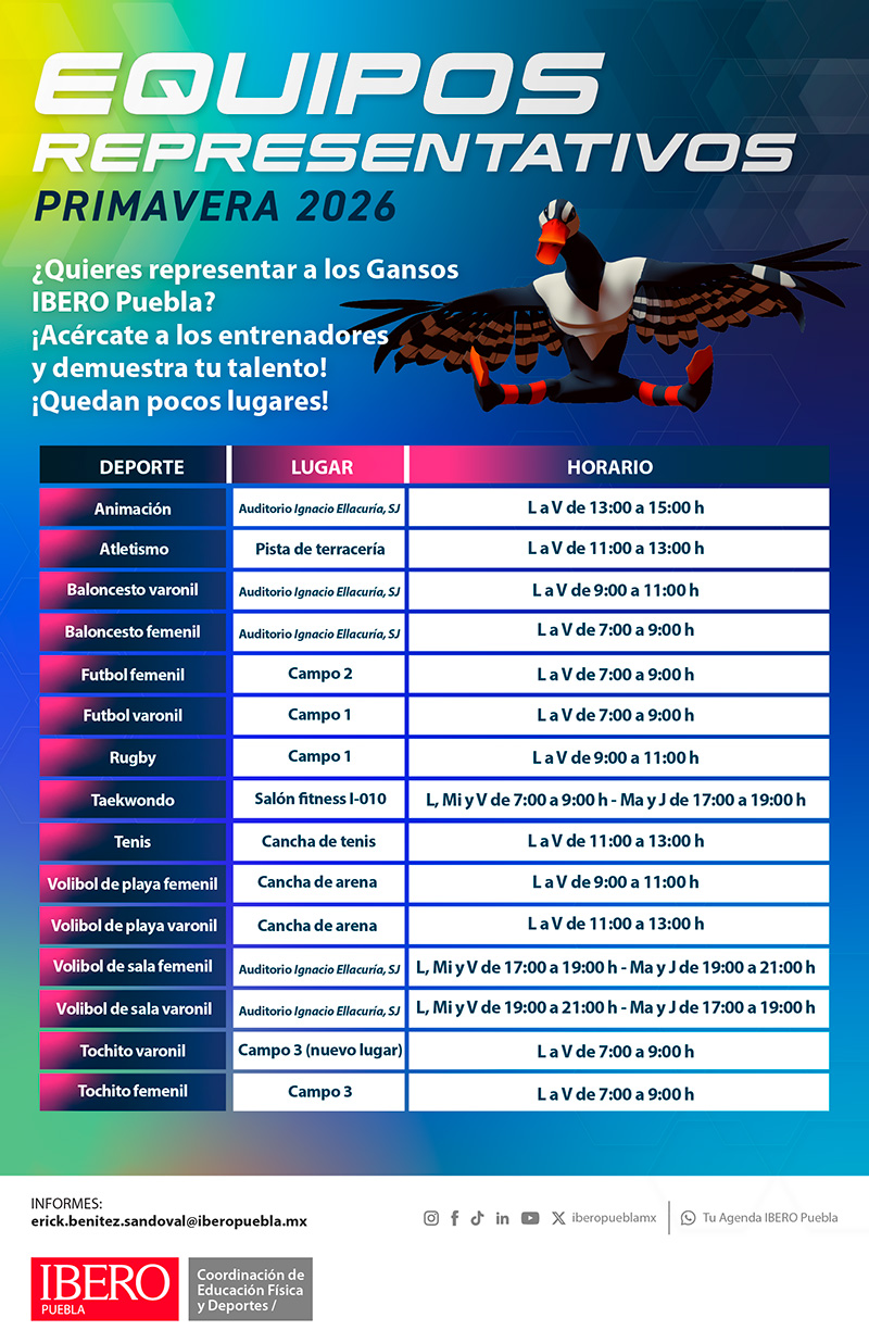 Equipos Representativos 2026