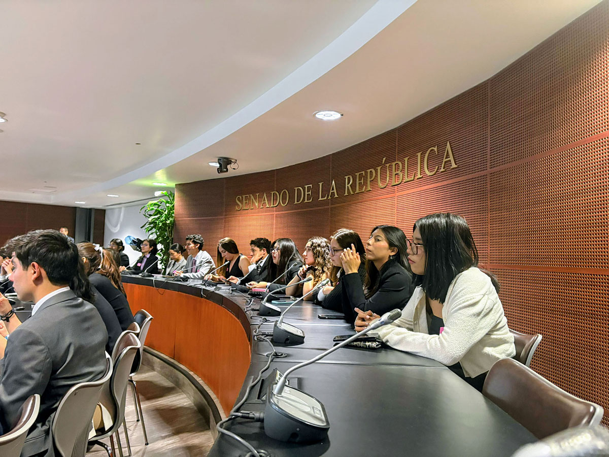 Visita Senado República