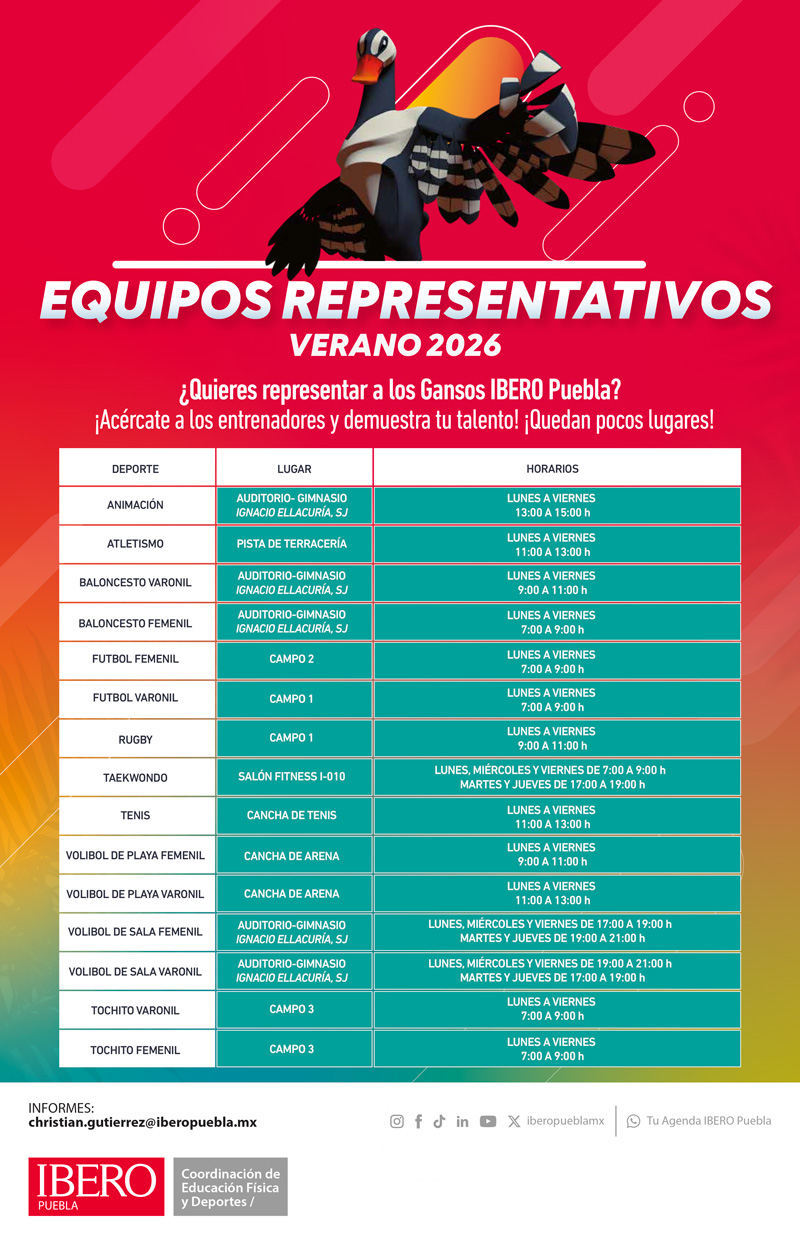 Equipos representativos